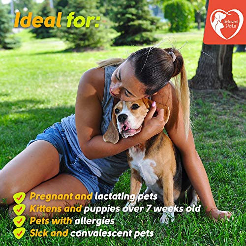 Flea And Tick Prevention For Dogs & Cats, Rabbits - Natural Flea Treatment & Home Pest Control - Topical Flea & Mosquito Repellent For Puppy & Kitten - 3 Drops For Small And Extra Large Pet (For Dogs) #TOP3