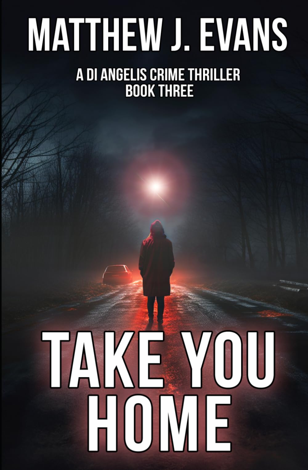 Take You Home: DI Angelis Crime Thriller - Book 3 (DI Angelis Supernatural Crime Thriller Series)