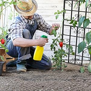 YITAHOME Garden Trellis Garden Fencing for Climbing Plants 4 Pack Decorative Plant Trellis Vegetables and Flower Trellis for Outdoor Patio-19.7×86.6 inches YITAHOME Garden Trellis Garden Fencing for Climbing Plants 4 Pack Decorative Plant Trellis Vegetables and Flower Trellis for Outdoor Patio 197866 inches