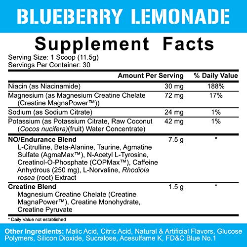 Rich Piana 5% Nutrition Kill It Pre Workout Powder W/Creatine, Jitter-Free Caffeine, No-Booster, Beta Alanine, L-Citrulline For Focus, Pump, Endurance, Recovery 13.23 Oz, 30 Srvgs (Blueberry Lemonade) #TOP1