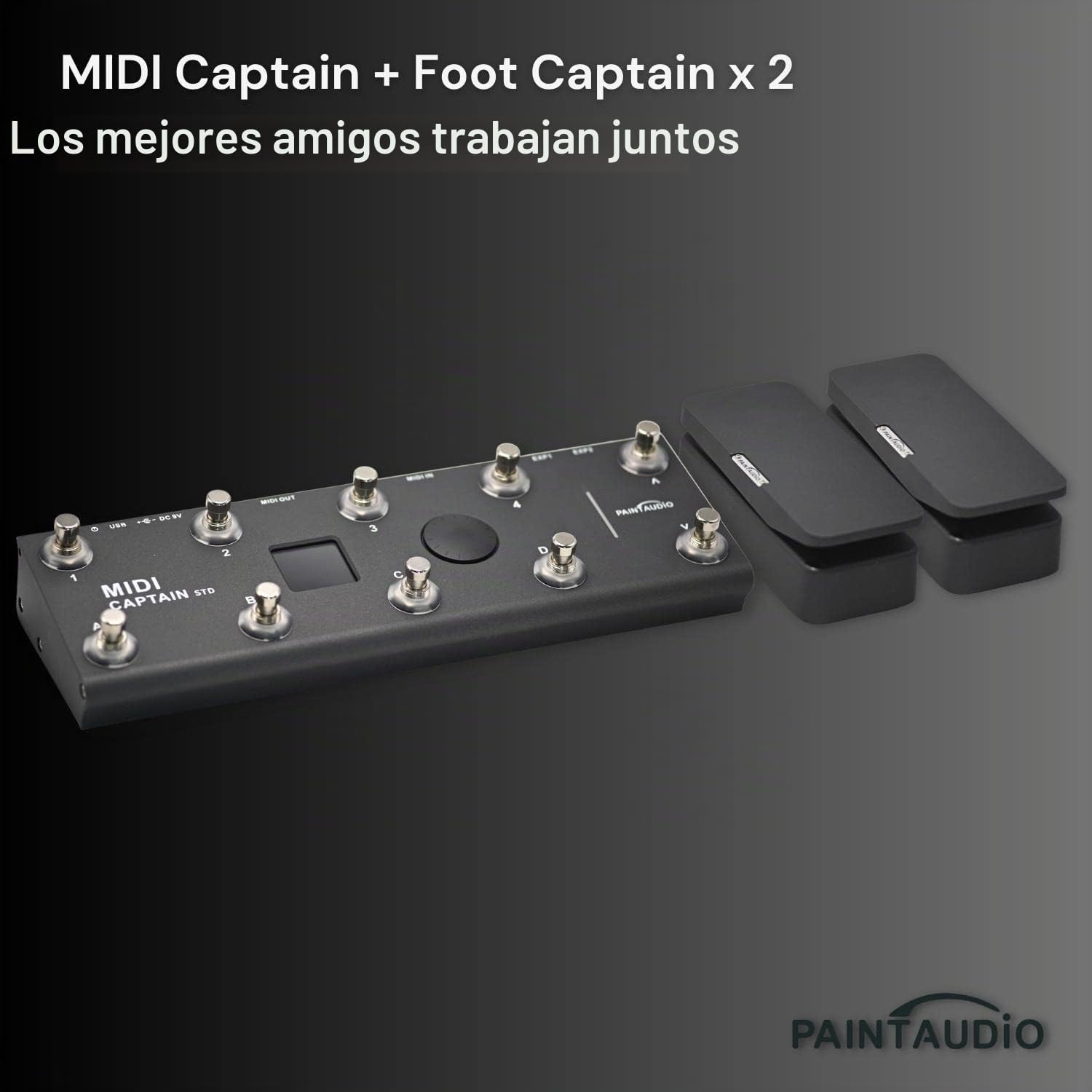 Pedal de expresión de salida dual Paint Audio Foot Captain compatible con conexión de punta/anillo