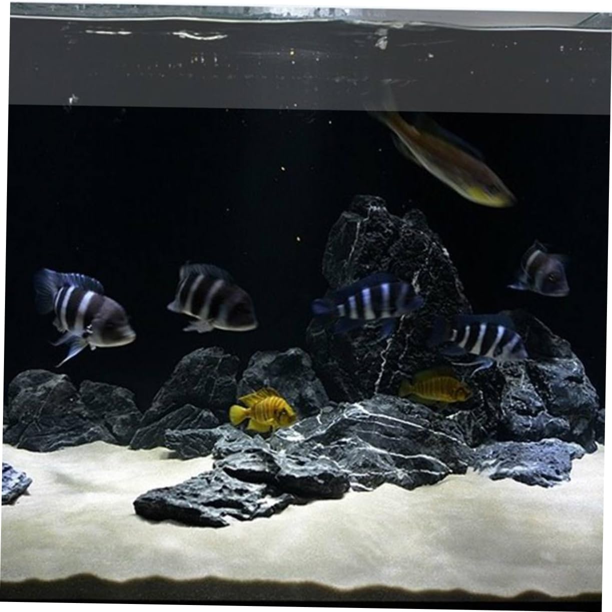 BESPORTBLE Décoration De Sable De Quartz 500 G De Sable Pur pour Aquariums Et Décoration De Jardin