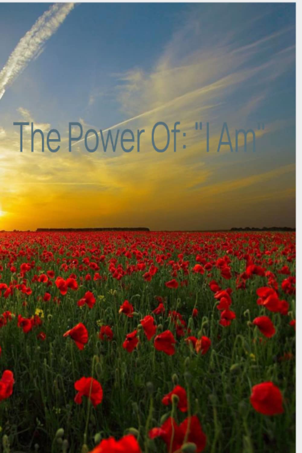 THE POWER OF: I AM