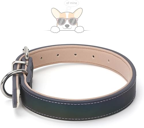 Miniatura 10 de WHIPPY Collar de cuero para perro pequeño, mediano y grande, ajustable, suave, transpirable, acolchado, de cuero con hebilla de aleación, resistente