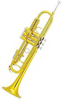 Student Brass Trumpet Professional Musical Instrument Trumpets Gold Lacquer Bb Trumpet Students