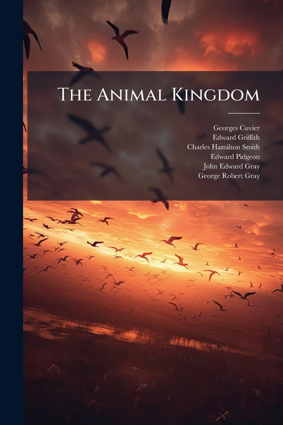 The Animal Kingdom: The Class Aves