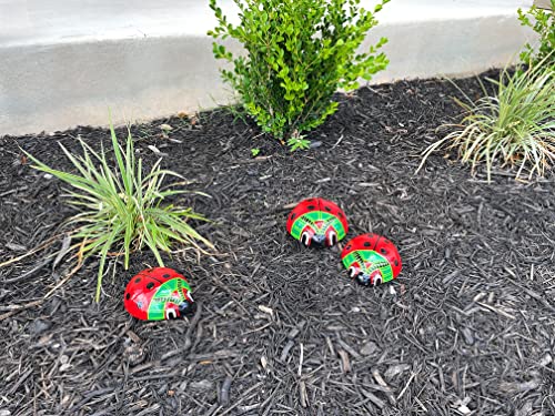 Hand Painted Authentic Mexican Ladybugs Decor Set Of 3, Summer & Spring Patio & Kitchen Wall Ceramic Decor, Mexican Art Talavera #TOP6