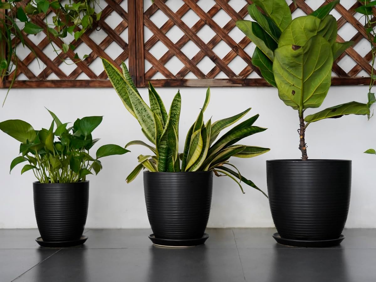 Ceramic Plant Pot - 8 Inch Ceramic Planter for Indoor Plants Glazed Round Flower Pot with Drainage Hole and Saucer Black