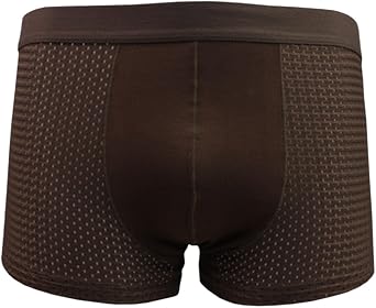 Mens Solid Breathable Mesh Summer Pouch Boxer Briefs Underwear