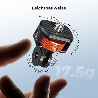 Vue 6