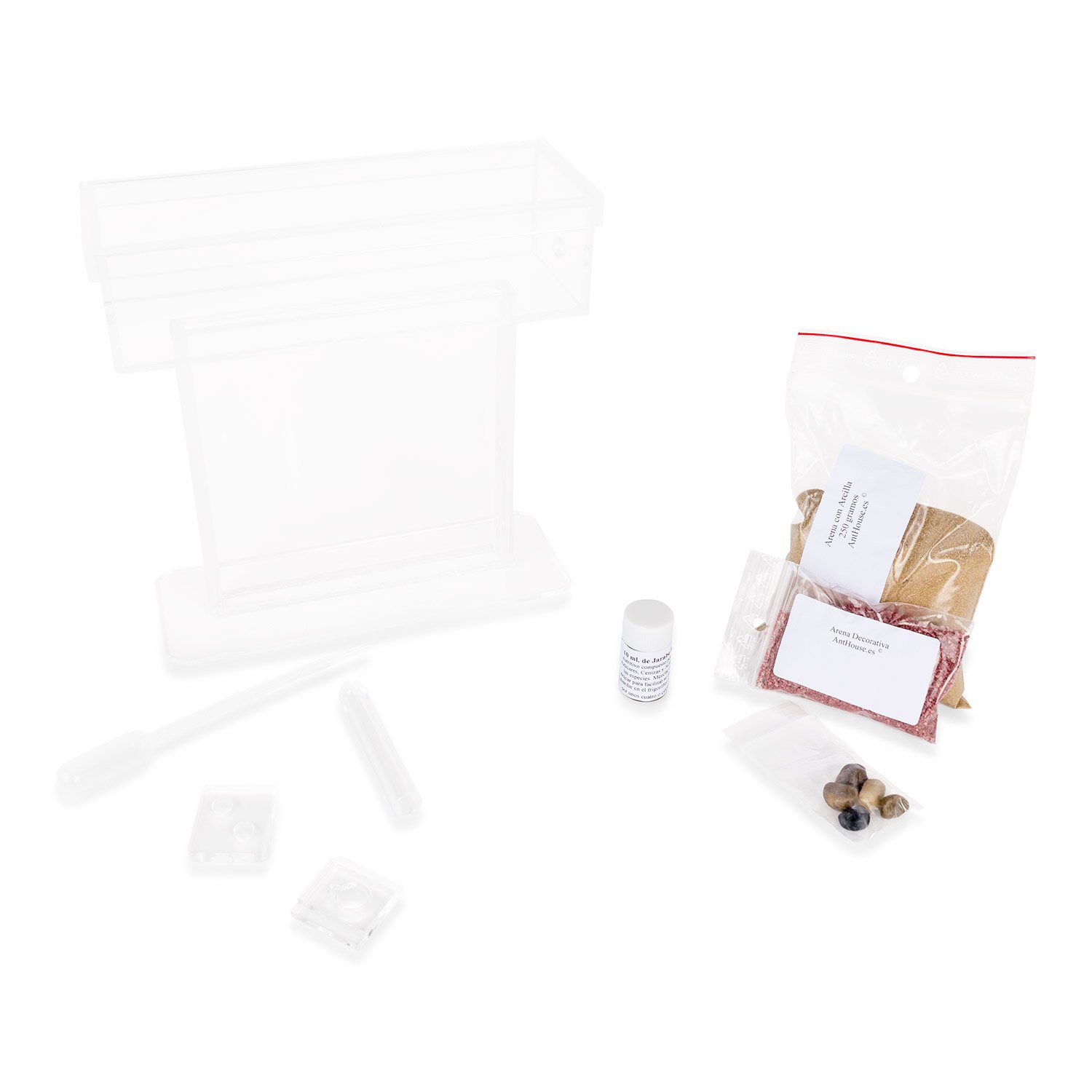 AntHouse - Formicaio Naturale di Sabbia | Kit T Acrilico 15x15x1,5 cm | Formiche Incluse con Regina