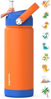 Kids Orange Water Bottle for School，Boys 18 oz Insulated Stainless Steel Cup with Straw, Double-Wall Vacuum Leakproof