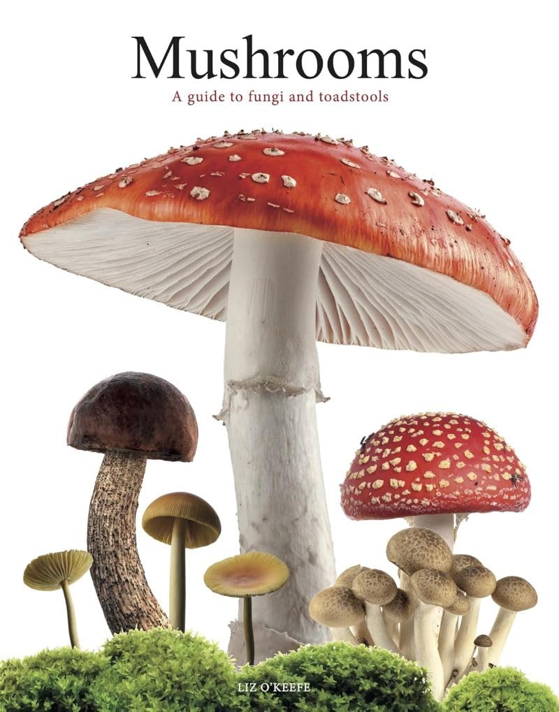 Mushrooms: A guide to fungi and toadstools