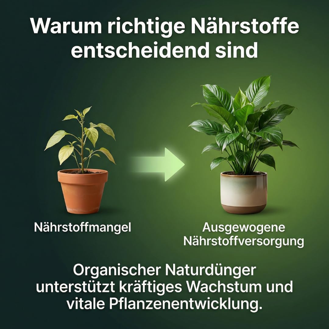Zimmerpflanzen Dünger für Balkon & Grünpflanzen – Sofort- und Langzeitwirkung mit Guano Pulver und Guano Pellets für Topfpflanzen – 5 Kg – Don Grow