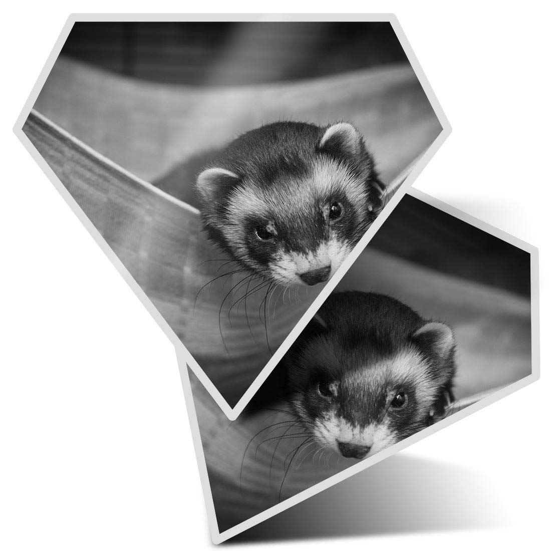 2 x Diamond Stickers 7.5 cm BW - Baby Ferret Weasle Hammock Fun Decals for Laptops,Tablets,Luggage,Scrap Booking,Fridges, #37772