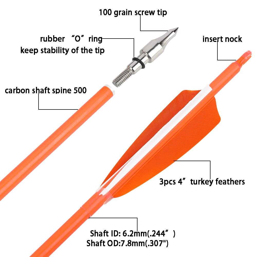 31" Flèches de Chasse en Carbone Fluorescent 500 600 Spine avec Plume Naturelle Flèches d'Entraînement pour Tir à l'arc à Poulies/Recurve/Arc Long 6/12pcs