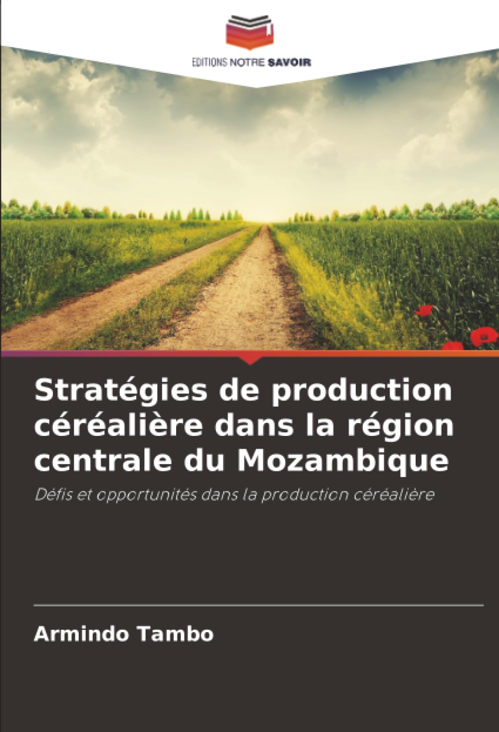 Stratégies de production céréalière dans la région centrale du Mozambique: Défis et opportunités dans la production céréalière