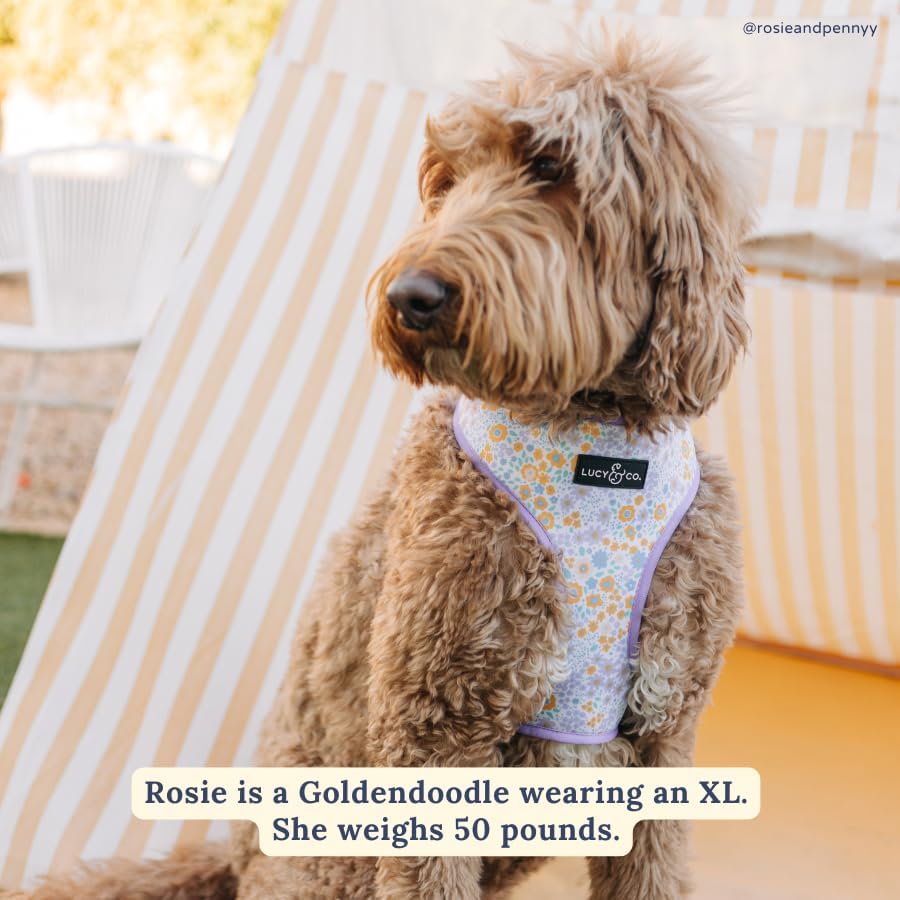 Miniatura 6 de Lucy & Co. Arnés reversible para pasear perros, bonito, de diseño, talla XS a XL, chaleco acolchado ajustable para pasear con facilidad (talla M,