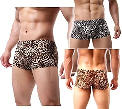 3-Piece Set Animal Leopard Boxer Pants, Bikini Pants, Men's, Briefs, Inner Underwear, Men's Shorts, Advanced, School, Working People