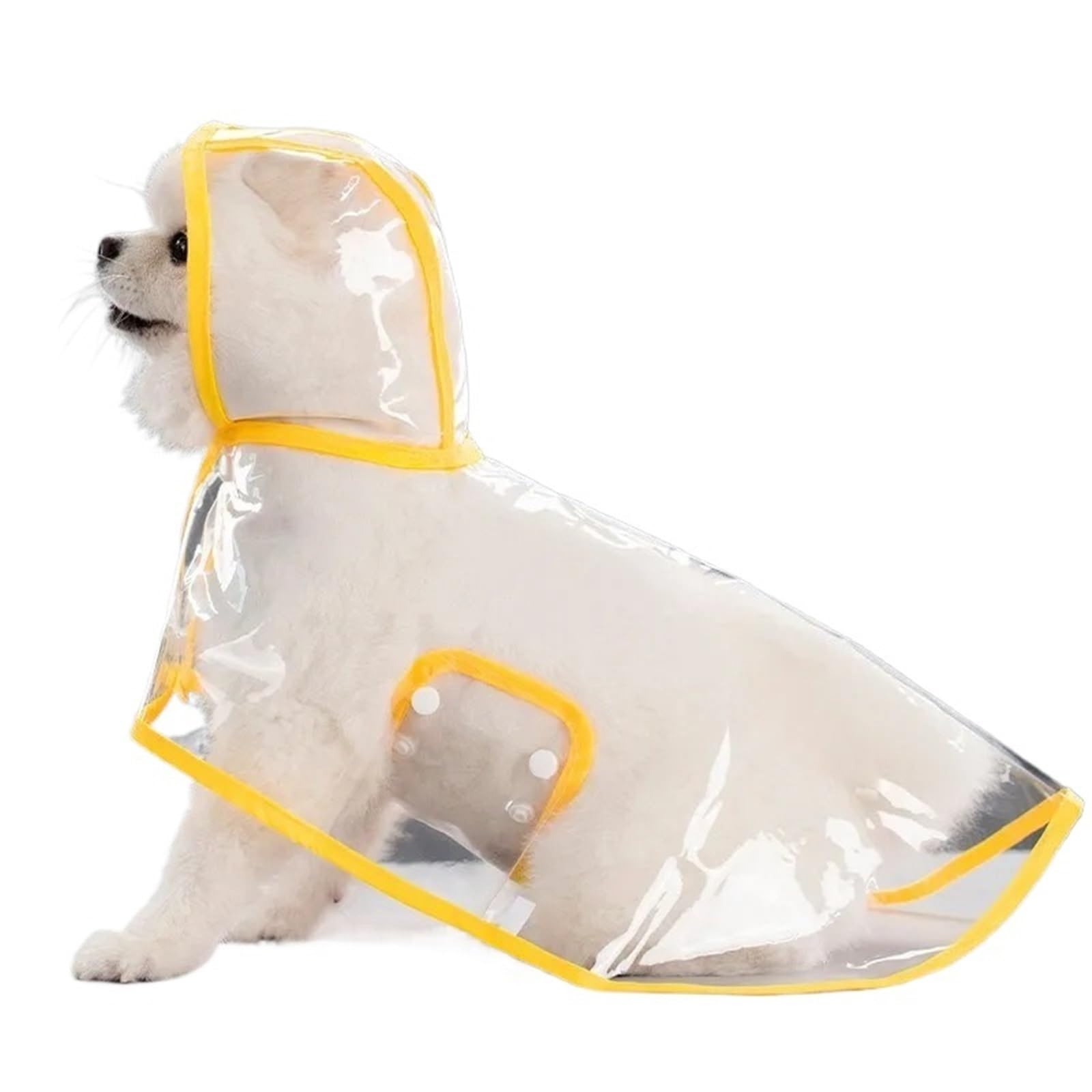 Poncho de pluie pour petit chien idéal pour les promenades urbaines sous l'orage