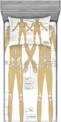 Miniatura 154 de Ambesonne Juego de sábanas bajeras y fundas de almohada, deliciosos tacos con verduras, cocina folclórica, ingredientes de recetas de comida Beige