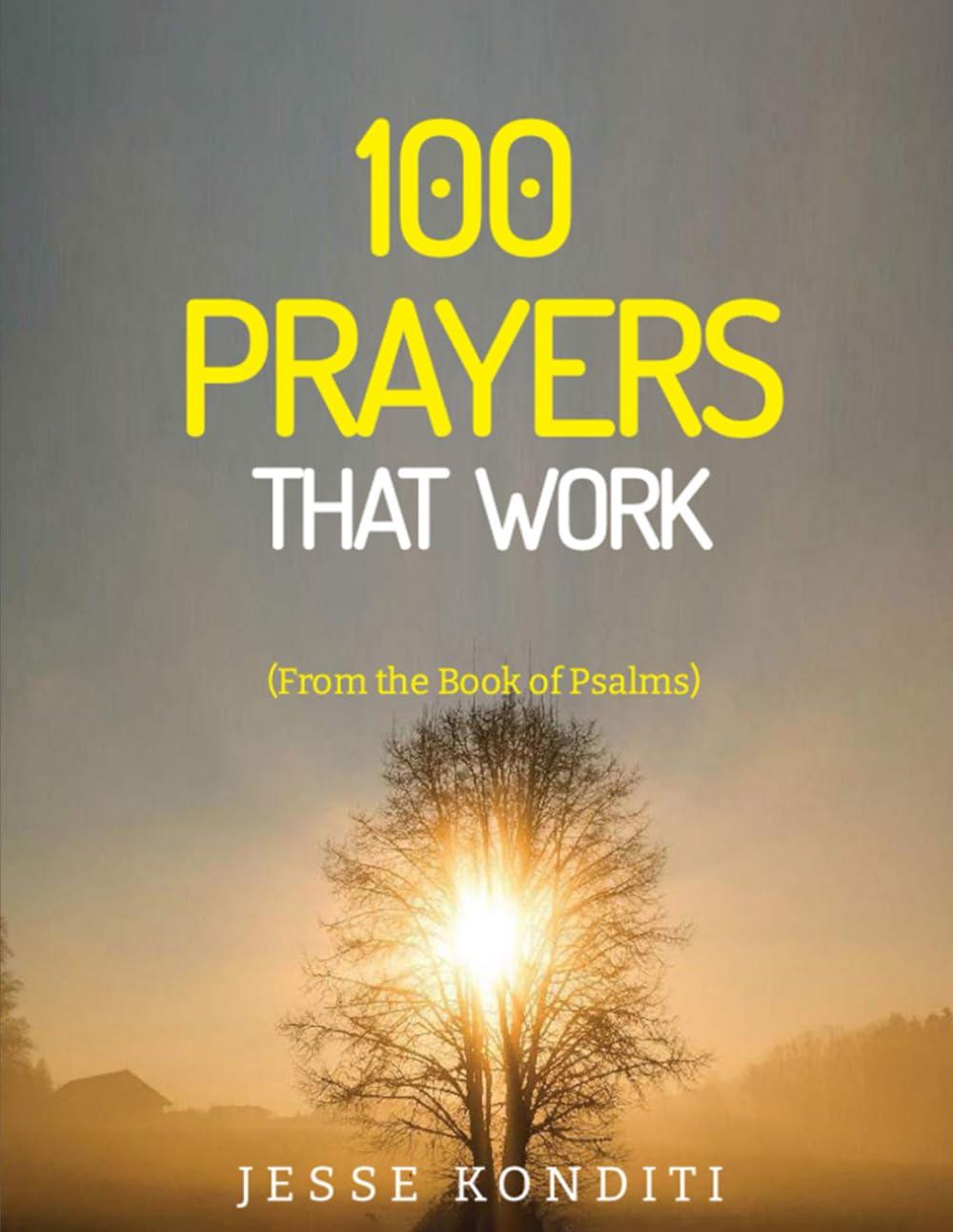 Prayers That Work: 100 Breakthrough Prayers from the Book of Psalms