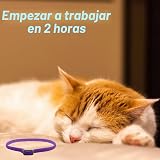 Ver la foto 4
