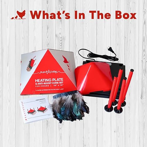 Miniatura 6 de RentACoop Juego de placa calefactora y cono anti-gallo - Placa calefactora para criadores calienta hasta 15 pollitos - Calentador de pollitos con 25