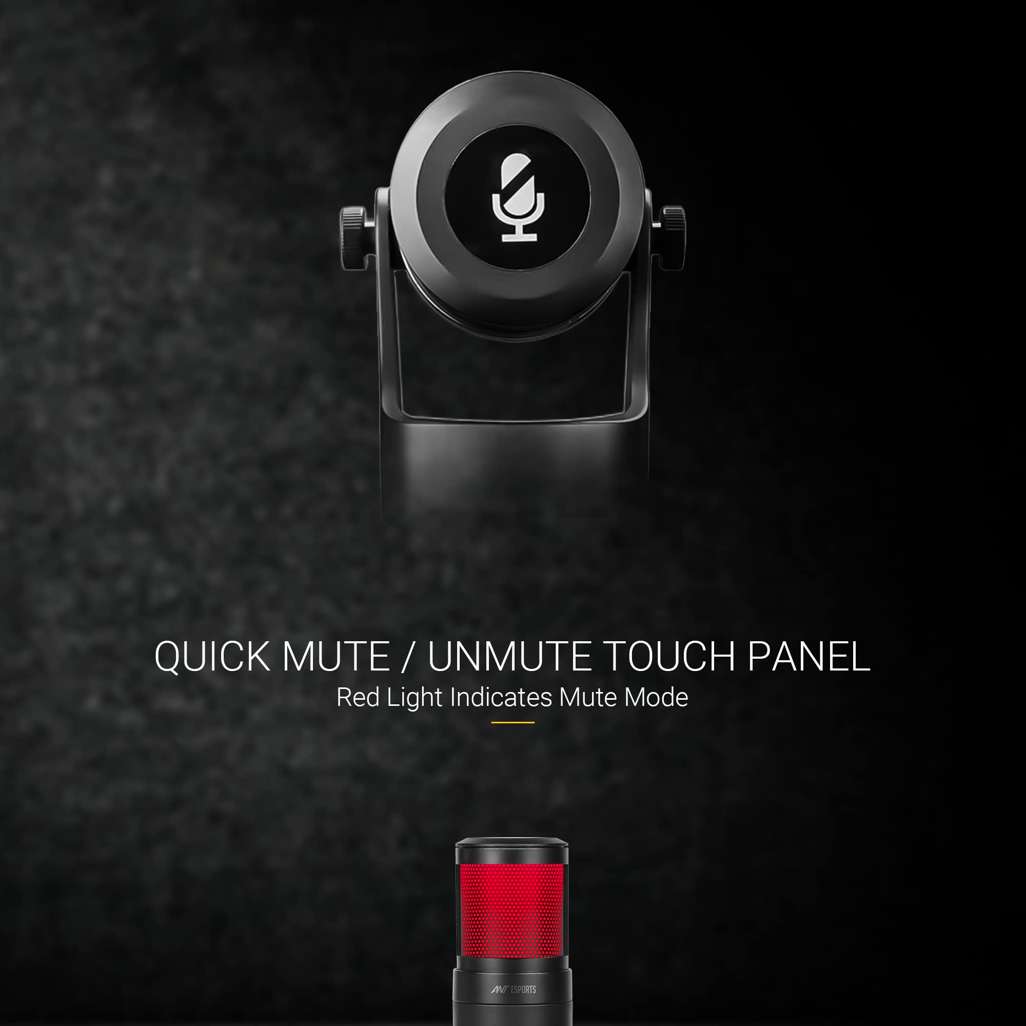 Ant Esports WENTE 220 USB Unidirectional Microphone - Black 2