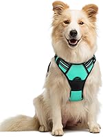 Vista 126 de rabbitgoo Arnés para perro, arnés sin tirones para mascotas con 2 clips para correa, chaleco acolchado suave ajustable para perro, chaleco Oxford