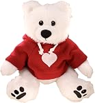 12 Inch White Teddy Bear Plush with Pink Hoodie and Red Heart Embroidery (Pink Hoodie Red Heart)
