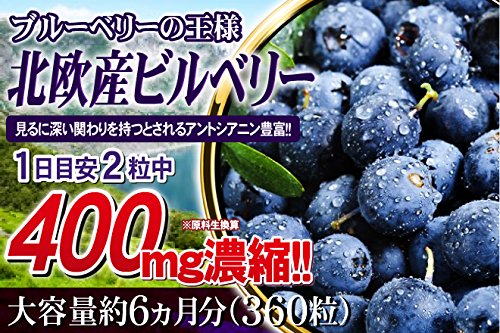 Amazon | 北欧産100倍濃縮ビルベリー72,000mg＆ルテイン (約6ヵ月分