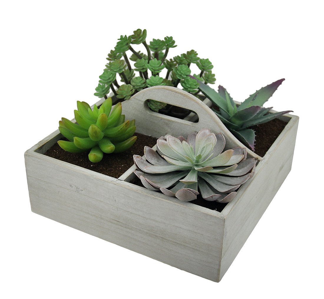 Jardin de succulentes artificielles en boîte bois, idée cadeau déco durable