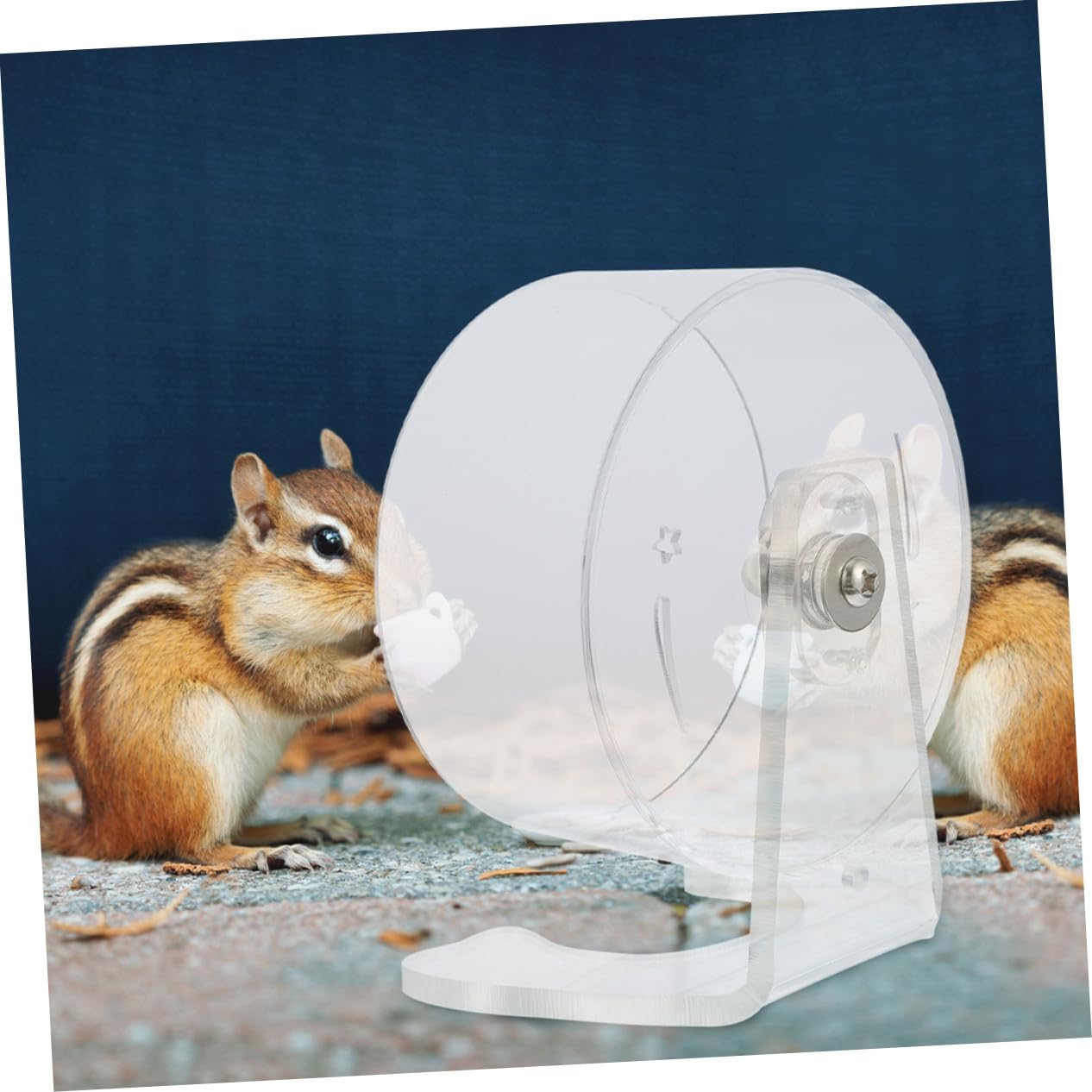 COLLBATH Ratica De Ratones Silent Wheel Ruedas De Ejercicio para Hámster Silencioso De Hámster Rueda De Ratones Acrílico Transparente