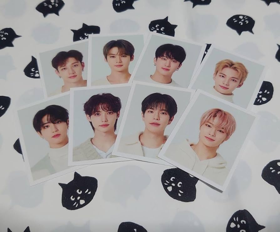 Amazon.co.jp: straykids 証明写真 8枚セット : おもちゃ