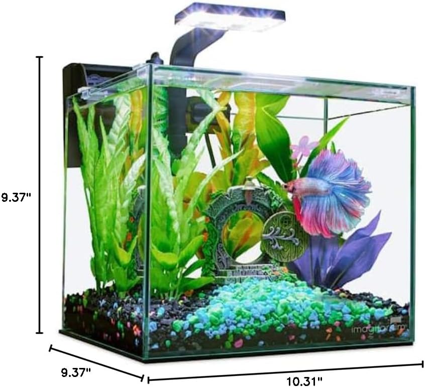 Imagitarium by Petco Glass Betta Aquarium Kit 2.5 Gallons