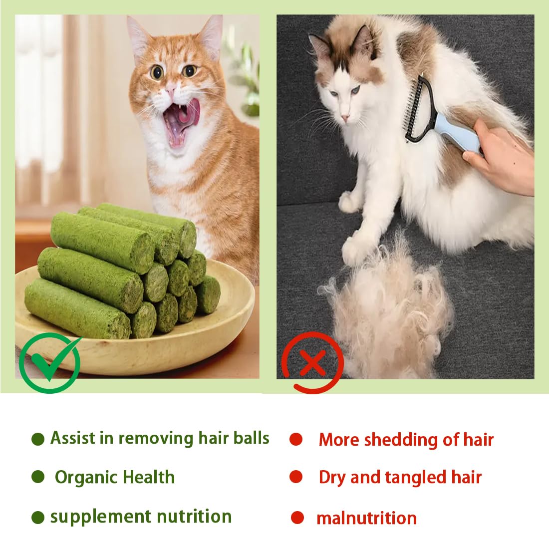 10 Pcs Collations pour Chats Herbe à Chat 50g Snack pour Chat Lyophilisé pour Le Nettoyage des Dents