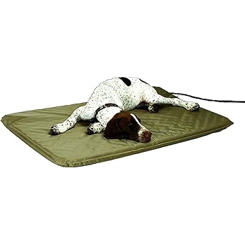 dog igloo heated pad