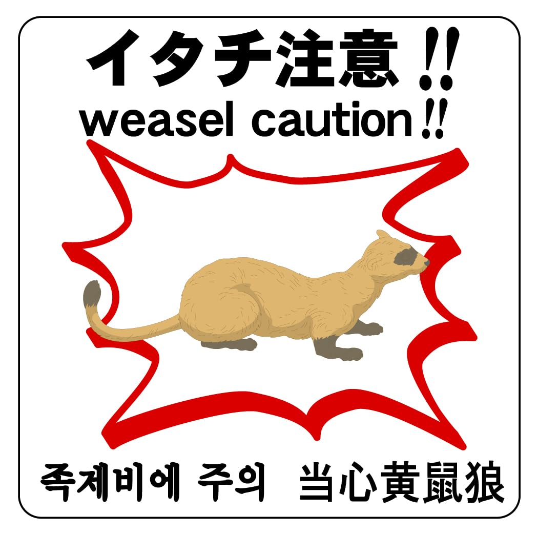 Amazon | 1枚から販売 イタチ注意！！ 24cm×24cm 害獣 害虫 ラベル