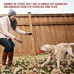 RHL Dog Squeaky Toys for Aggressive chewers Large Breed Balls Interactive Ball Toy Almost Indestructible Tough Durable Stick Medium Small Dogs Puppy Chew with Non-Toxic Natural Rubber