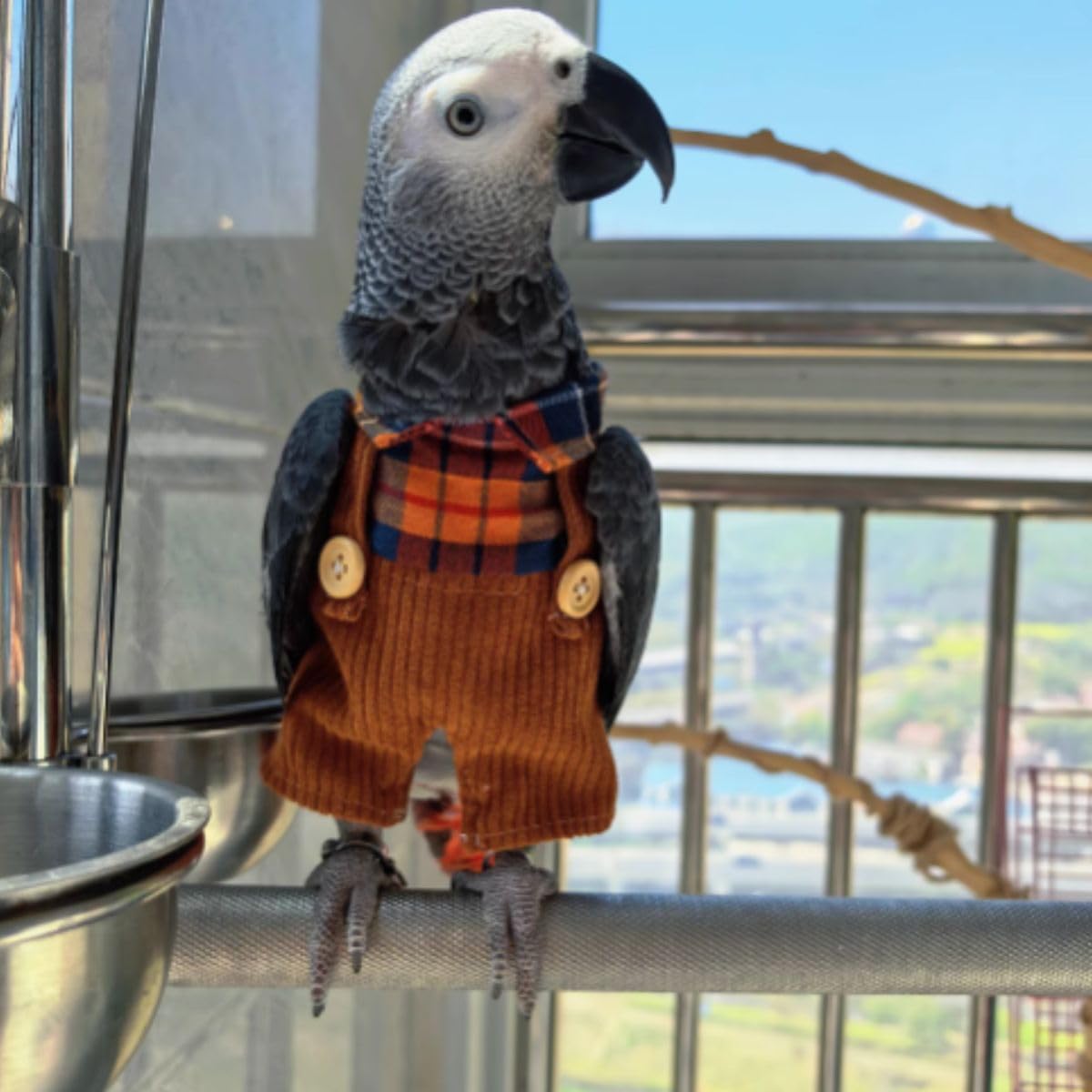 Bird Clothes - Handmade Retro Overalls for Parrots African Greys Parakeet Cockatiel Sun Conure Christmas Halloween Cosplay Apparel Bird Supplies (Brown,Macaw)