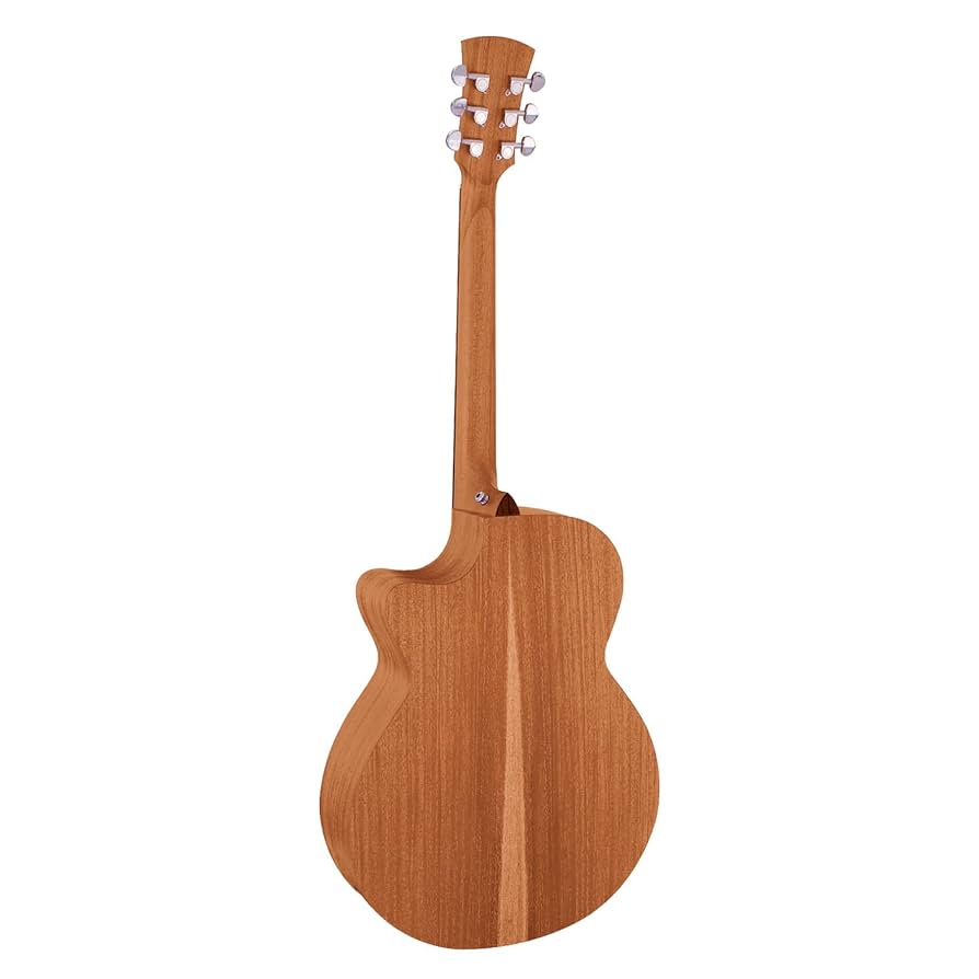 Amazon | Faith NAKED シリーズ エレアコギター FKV naked Venus