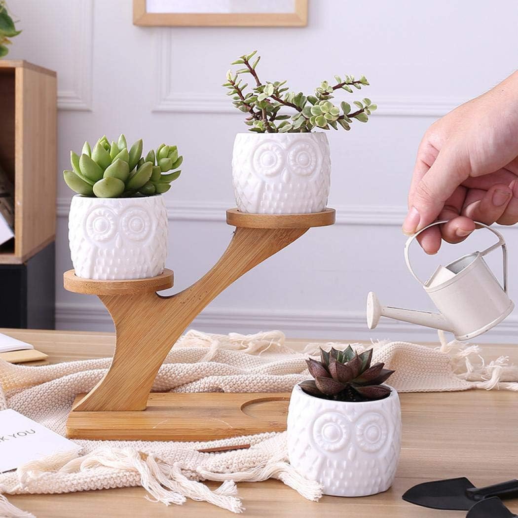 Simcat 3pcs Ceramics Succulent Pots with 3 Tier Bamboo Saucers Stand Holder,Ceramic Flower Planter Pot with Drainage - Image 2