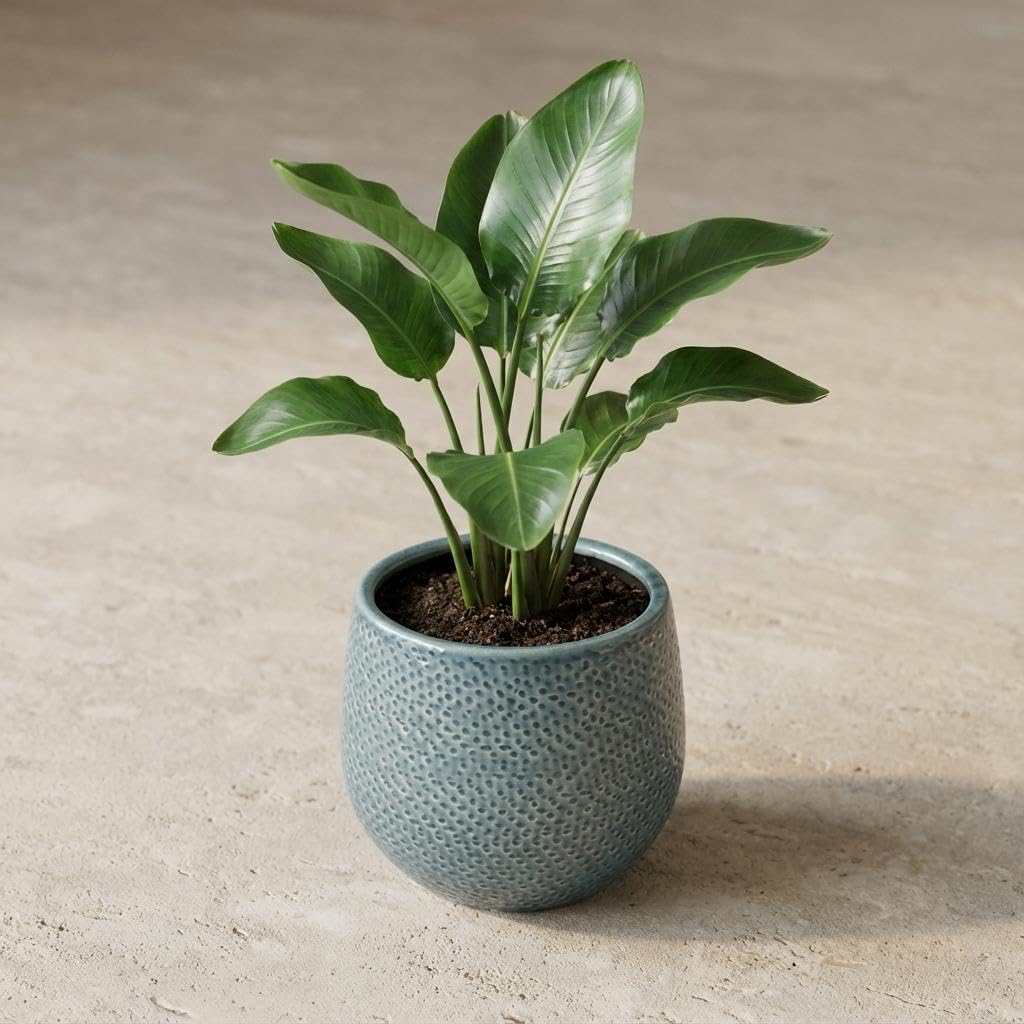 Blumentopf aus Keramik, für Innen und Außen, Blau, Ø 14 cm