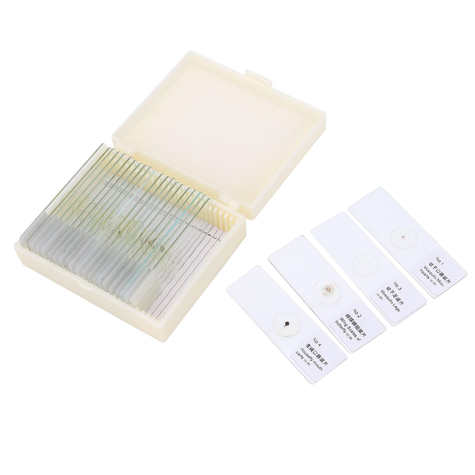 25Pcs PJH‑25 Prepared Lab Specimens Real Specimen Postcards Microscope Slides Set for Insects Biological Experiment Medicine Education