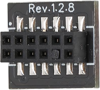 TPM 2.0 Module 12 Pin SPI TPM Module for Desktop, TPM Module for Motherboard Security Upgrade, Replacement for MSI A550 B550 B450 X570 on Win 7/8.1/10