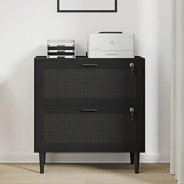 CQ Hi-Q Furniture 2 Drawer File Cabinet, Lateral File Cabinet with Lock, Rattan Wood Filing Organization Cabinet for Home Office, Black
