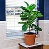 Product Photo 5
