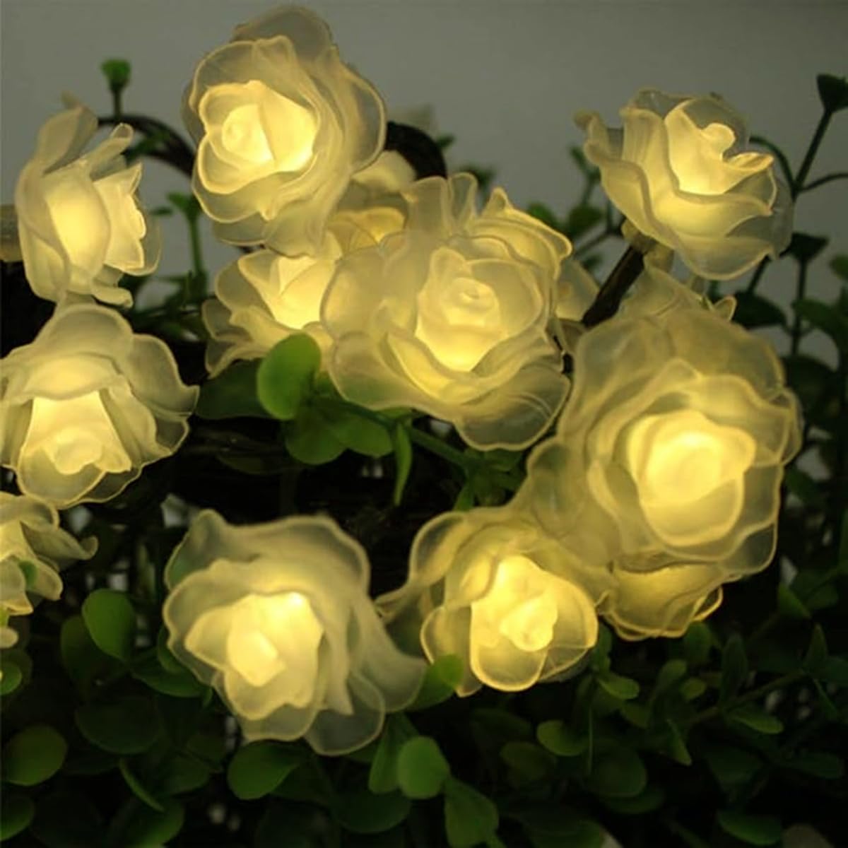 Lampa łańcuchowa do kwiatów, wróżka opowieść świetlna, zasilana bateryjnie, Boże Narodzenie, urodziny, Walentynki, pokój (10 m, 80 LED, ciepła)