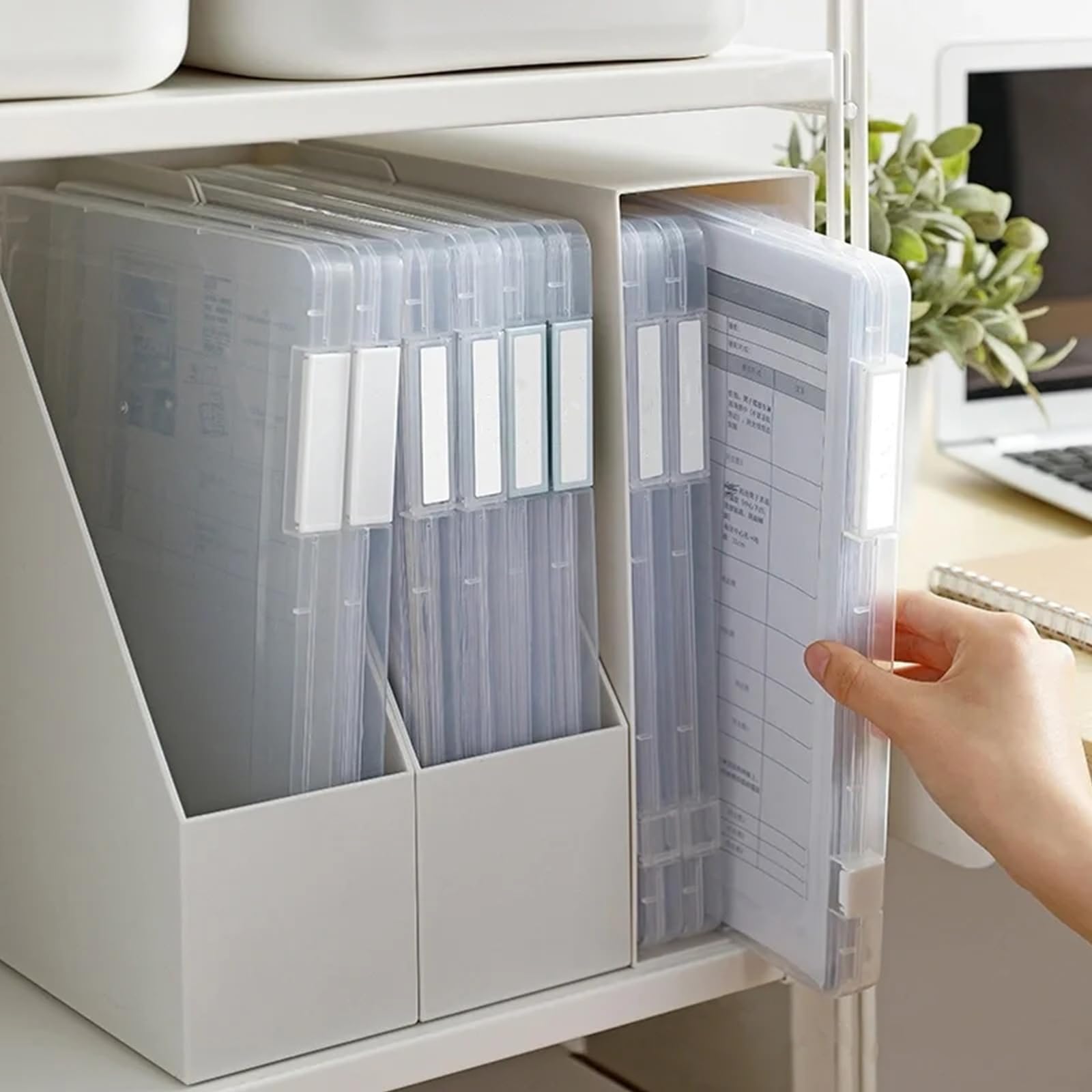 SHUESS 6er Archivbox A4 Transparent Flache Aufbewahrungsbox mit Clip-Verschlüsse, tragbare Archivbox A4 aus Kunststoff mit Deckel, flache Dokumentenbox für Dokumente, Zeitschriften, Sammelalben, Fotos